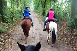Ausritt durch den Sachsenwald