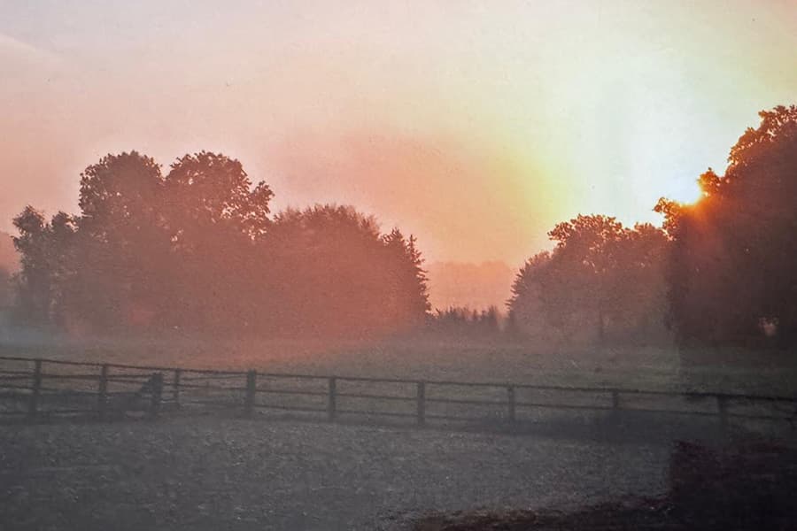 Sonnenaufgang über den Weiden von Gut Silk