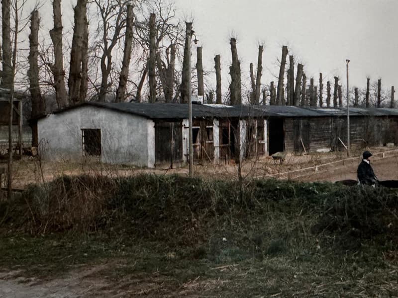 Stallgebäude auf Gut Silk in den frühen Jahren