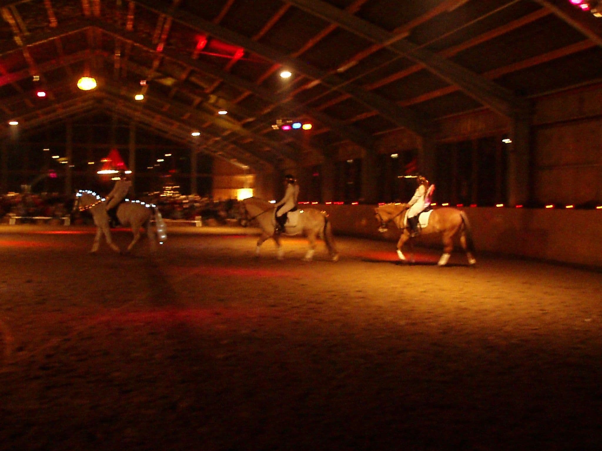 Weihnachtliche Vorführung in der Reithalle