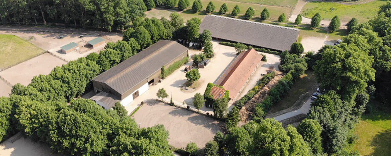 Spaziergang mit Pferd auf der Allee von Gut Silk